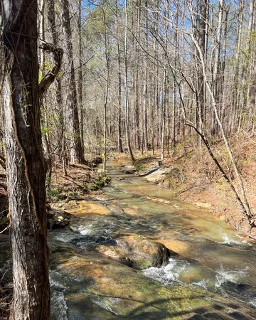 $575,000 | 17081 Ga Highway, Shiloh, GA 31826