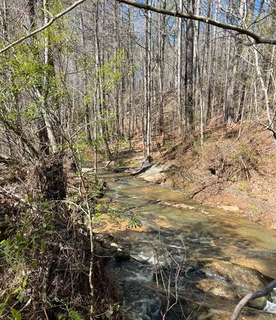 $575,000 | 17081 Ga Highway, Shiloh, GA 31826