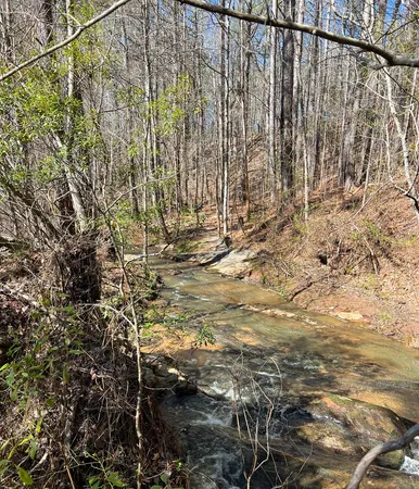 $575,000 | 17081 Ga Highway, Shiloh, GA 31826