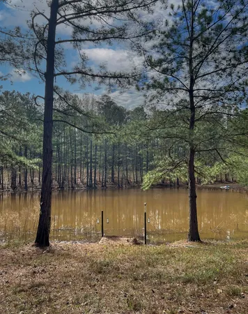 $575,000 | 17081 Ga Highway, Shiloh, GA 31826