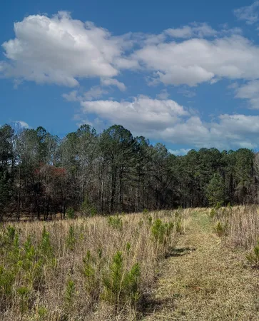 $575,000 | 17081 Ga Highway, Shiloh, GA 31826