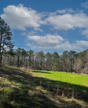 $575,000 | 17081 Ga Highway, Shiloh, GA 31826