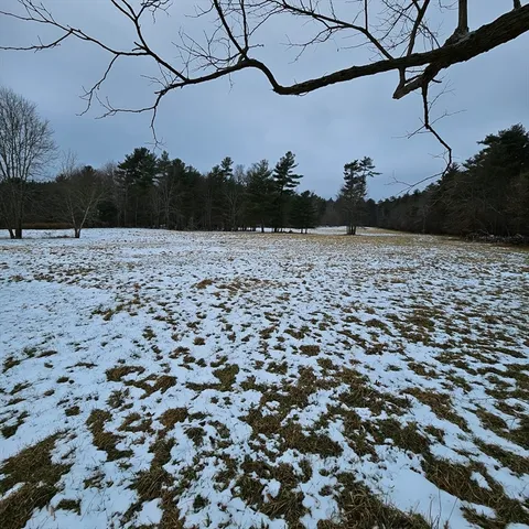 a view of a dry yard