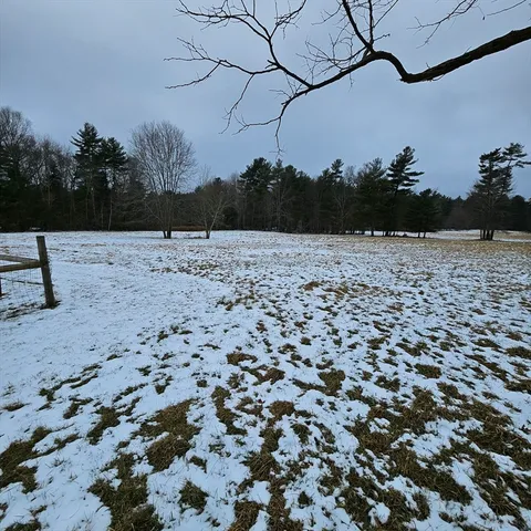a view of a big yard with large trees