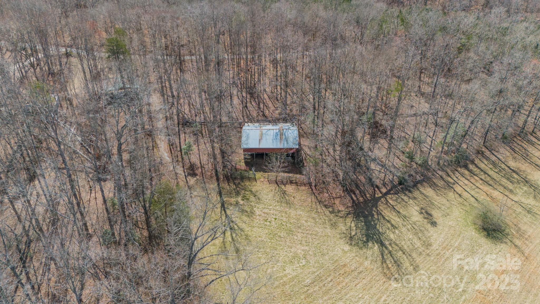 0 North Mountain Street Blacksburg, SC 29702 - Photo 7 of 27 a bench sitting in middle of tall trees