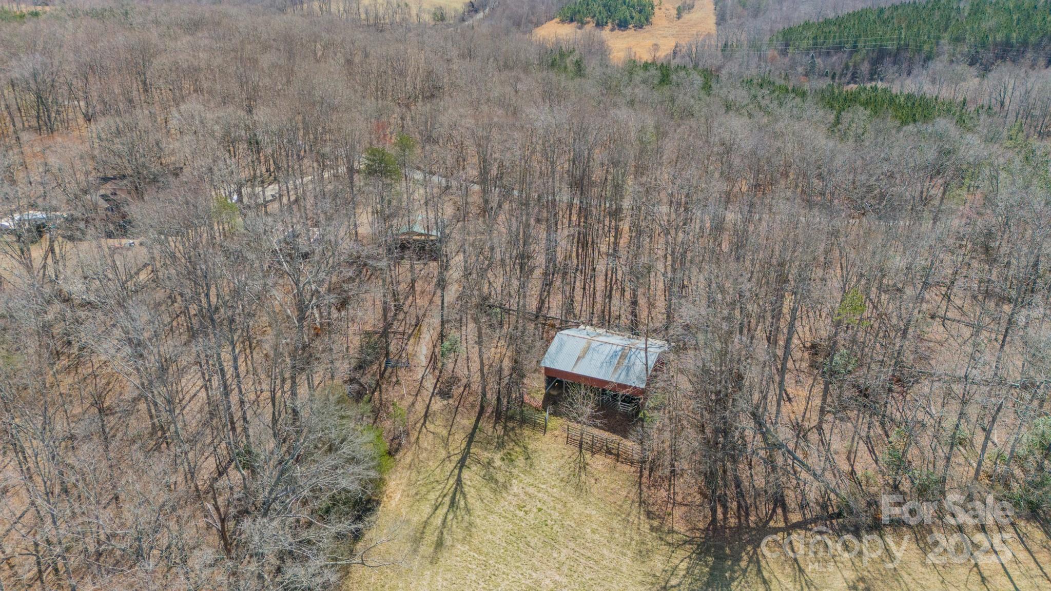 0 North Mountain Street Blacksburg, SC 29702 - Photo 8 of 27 a picture of a wall with a dry plant in front of it
