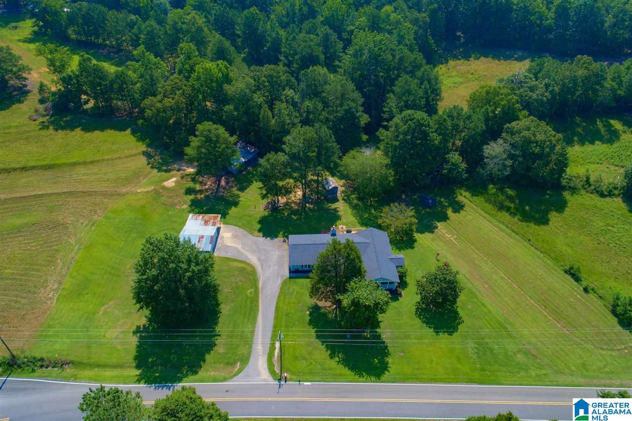 9259 Bradford Trafford Road Pinson, AL 35126 - Photo 9 of 38