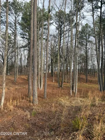 a view of outdoor space with trees