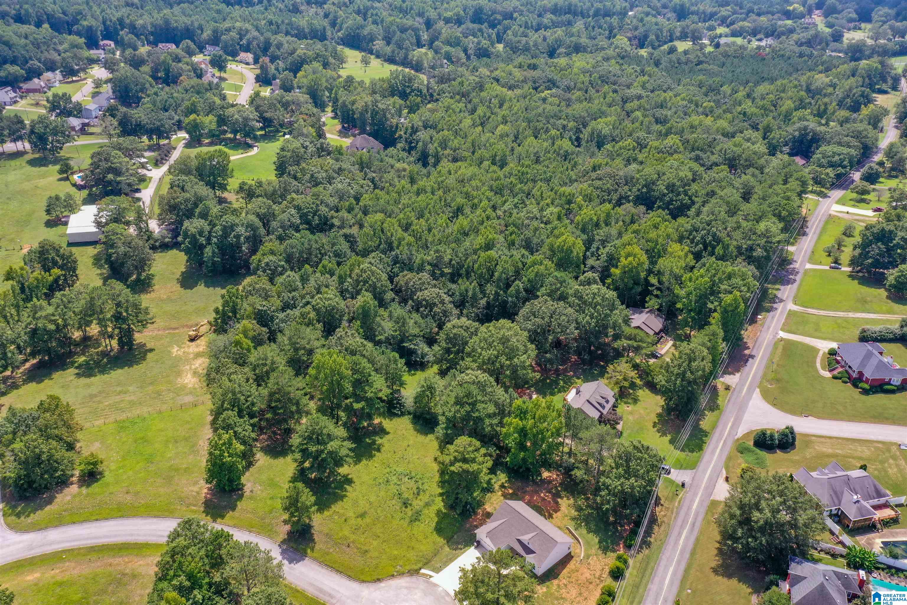 7683 Clayton Road Pinson, AL 35126 - Photo 45 of 53