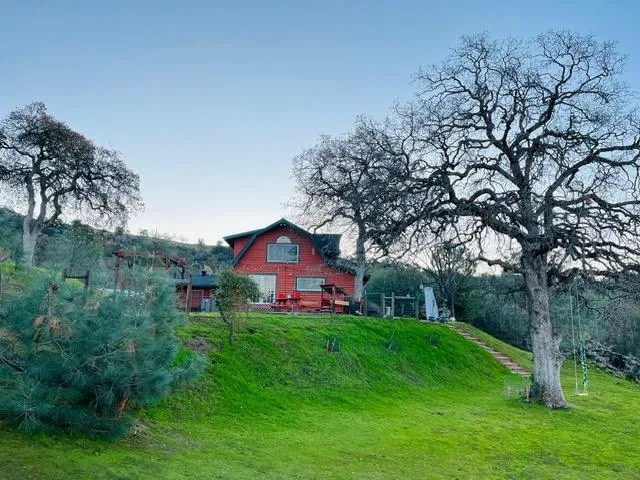 a view of a garden with a fountain