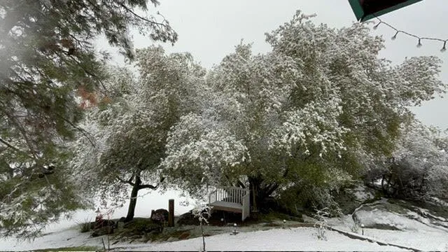 a view of road with covered with snow