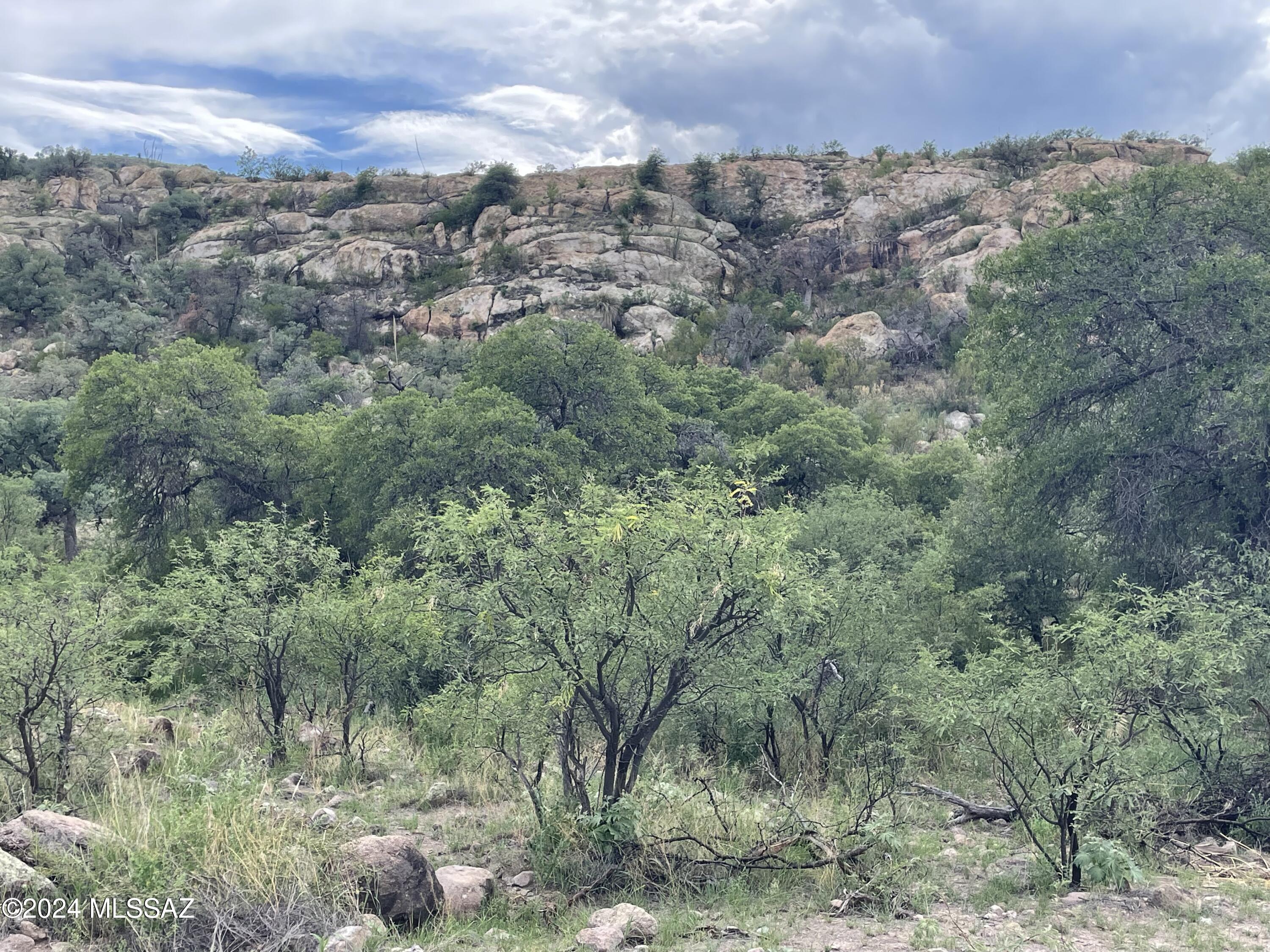 Tbd Tbd Calle De La, Unit 143 5 Rio Rico, AZ 85648 - Photo 1 of 20