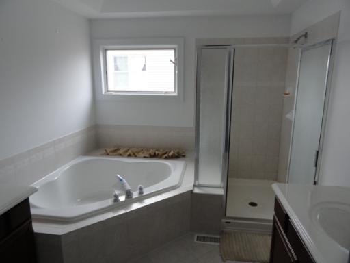 39W341 Preston Circle Geneva, IL 60134 - Photo 10 of 16 a bathroom with a sink and a bathtub