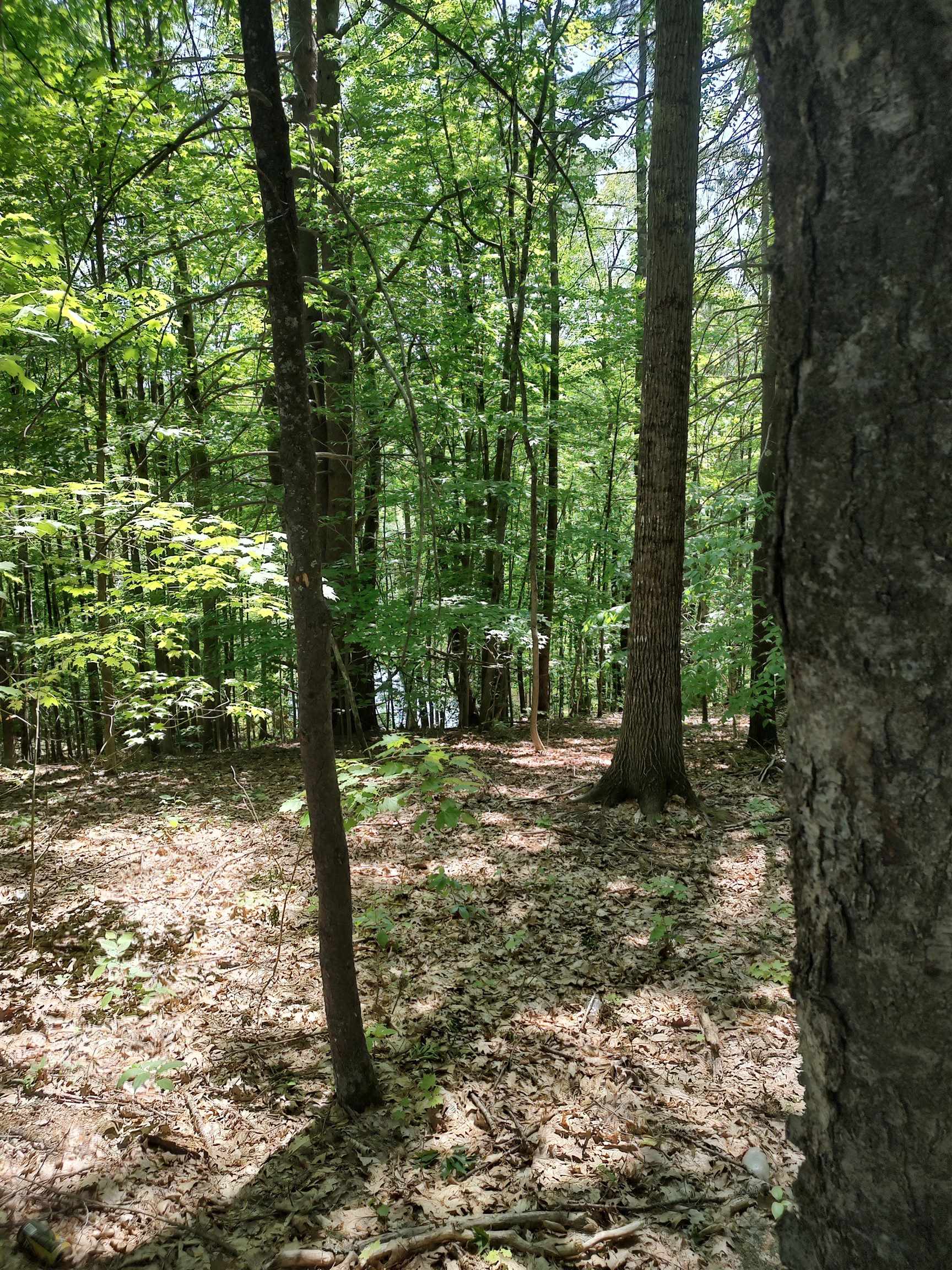 0 Buxton School Road Weare, NH 03281 - Photo 2 of 6