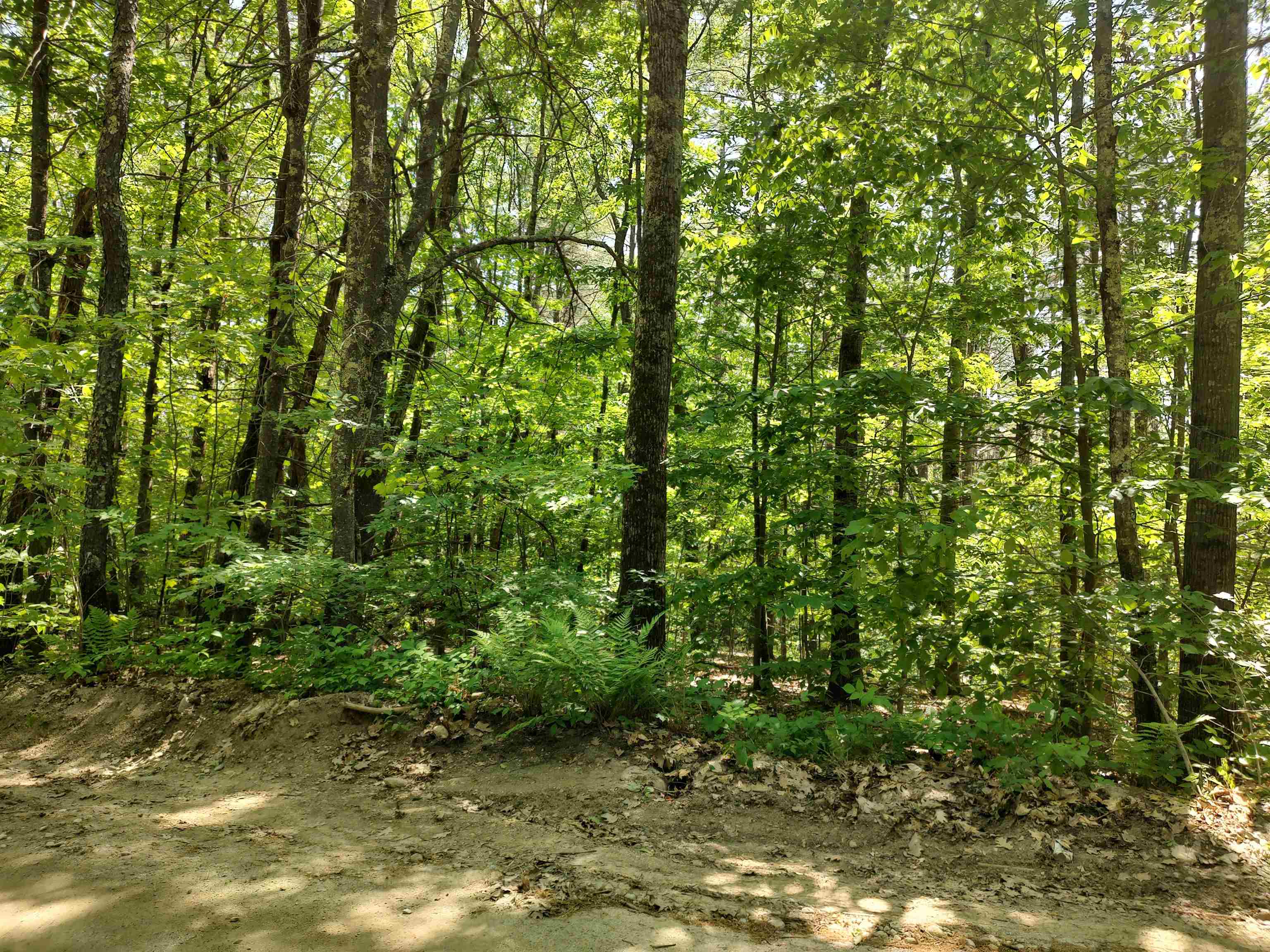 0 Buxton School Road Weare, NH 03281 - Photo 3 of 6