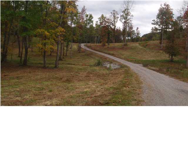 0 County Rd 754, Unit 18 Riceville, TN 37370 - Photo 11 of 11 Additional Photo