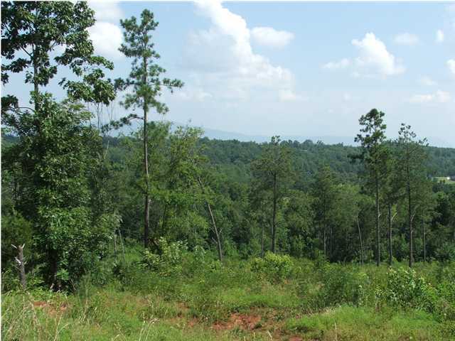 0 County Rd 754, Unit 18 Riceville, TN 37370 - Photo 10 of 11 Additional Photo