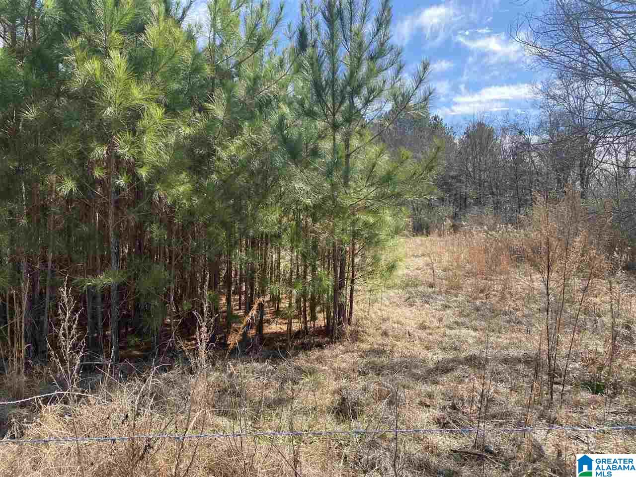1560 Oren Miller Road, Unit 1 Warrior, AL 35180 - Photo 7 of 19