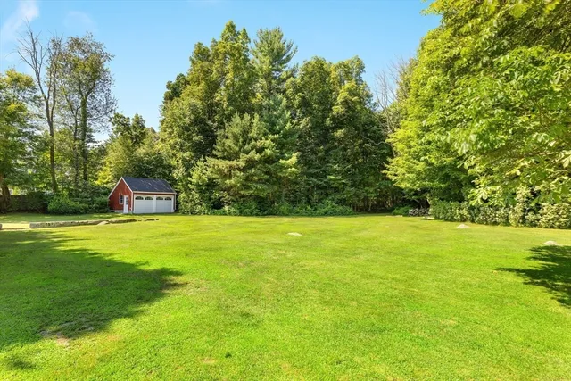 a view of a yard with a tree