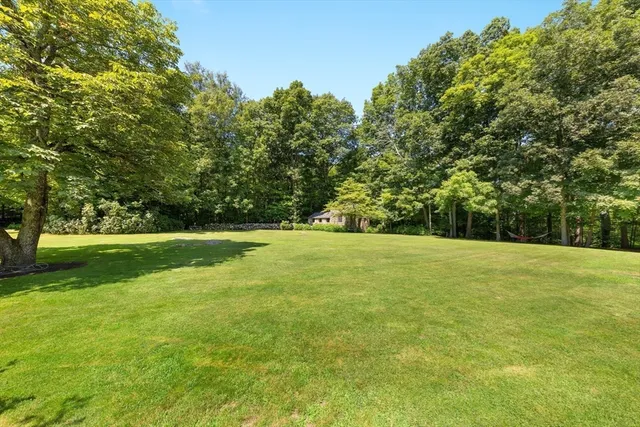 a view of a trees and yard