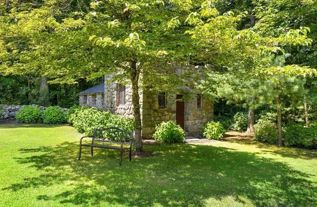 a garden with plants and large trees