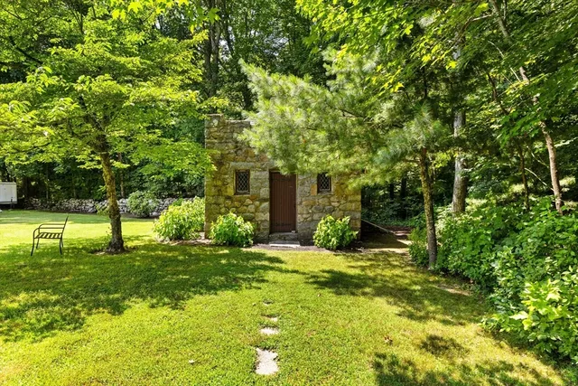 a tall tree in middle of green field