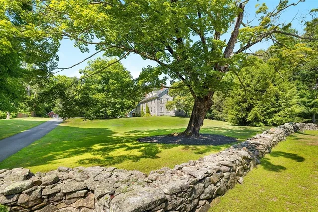 a view of a garden with a large tree