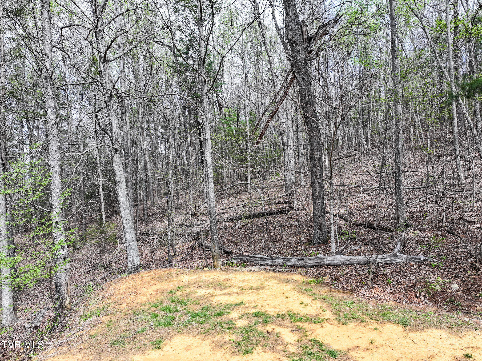 805 Fox Road Chuckey, TN 37641 - Photo 12 of 32 DJI_20260403112527_0048_D