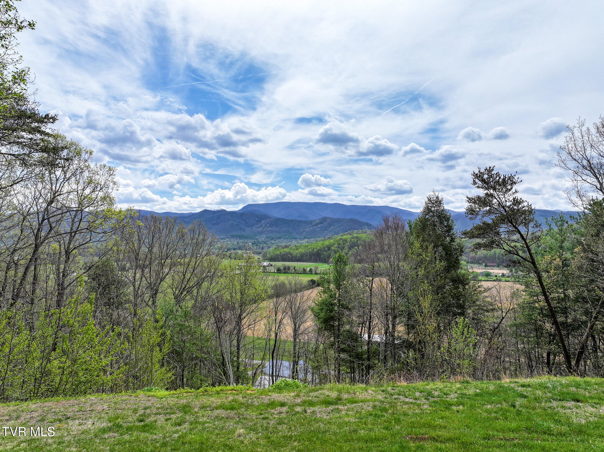 805 Fox Road Chuckey, TN 37641 - Photo 7 of 32 DJI_20260403112339_0039_D