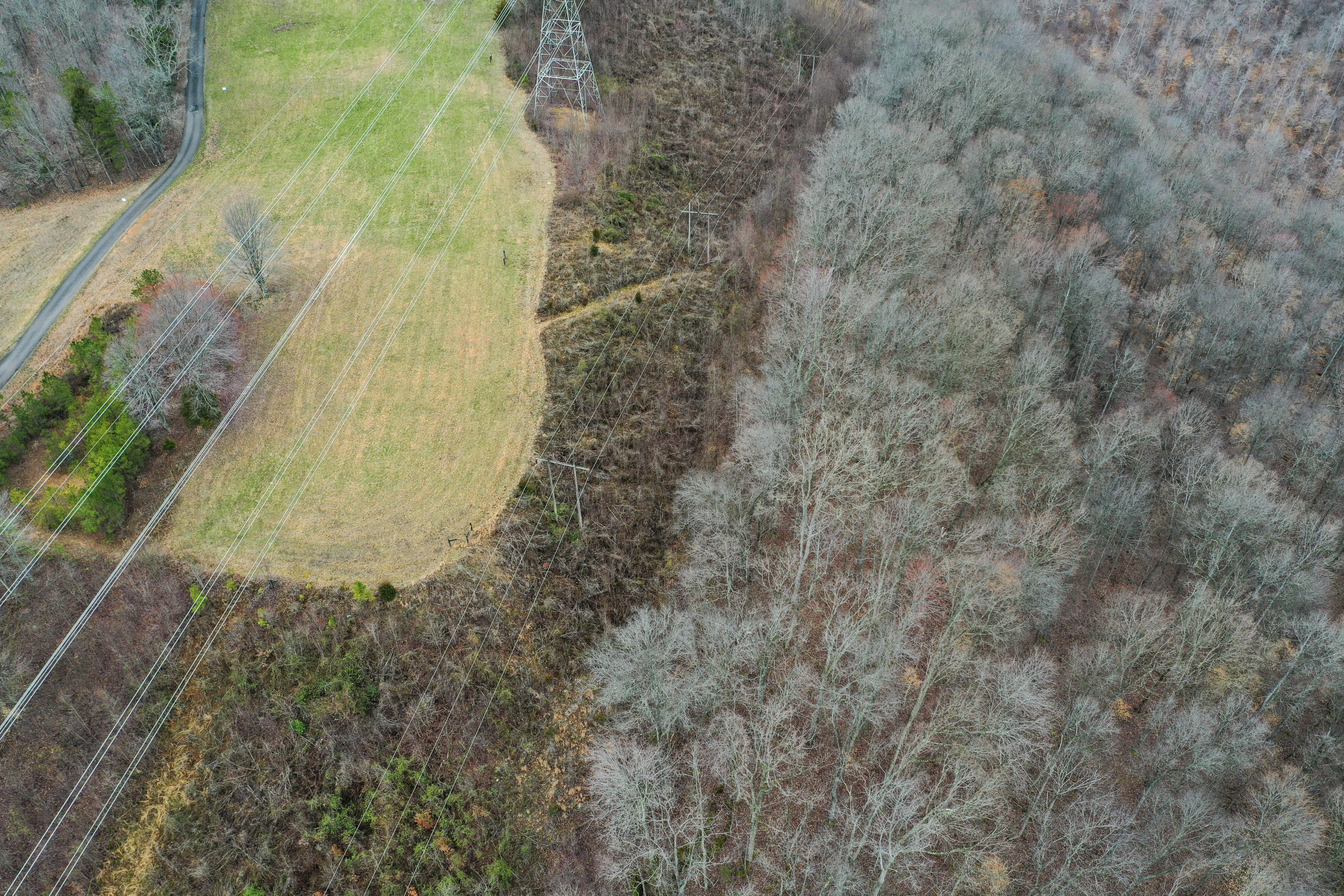 385 Pole Ridge Road Somerset, KY 42501 - Photo 5 of 18 13-DJI_0067