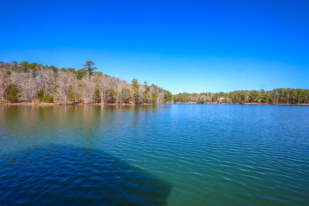 4046 White Oak Drive Appling, GA 30802 - Photo 46 of 50
