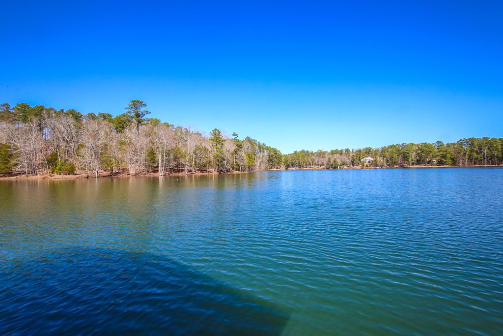 4046 White Oak Drive Appling, GA 30802 - Photo 47 of 50