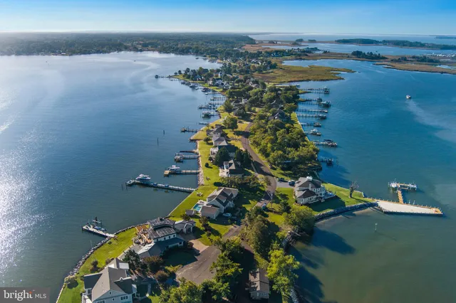 a close up of a vase with flowers on table