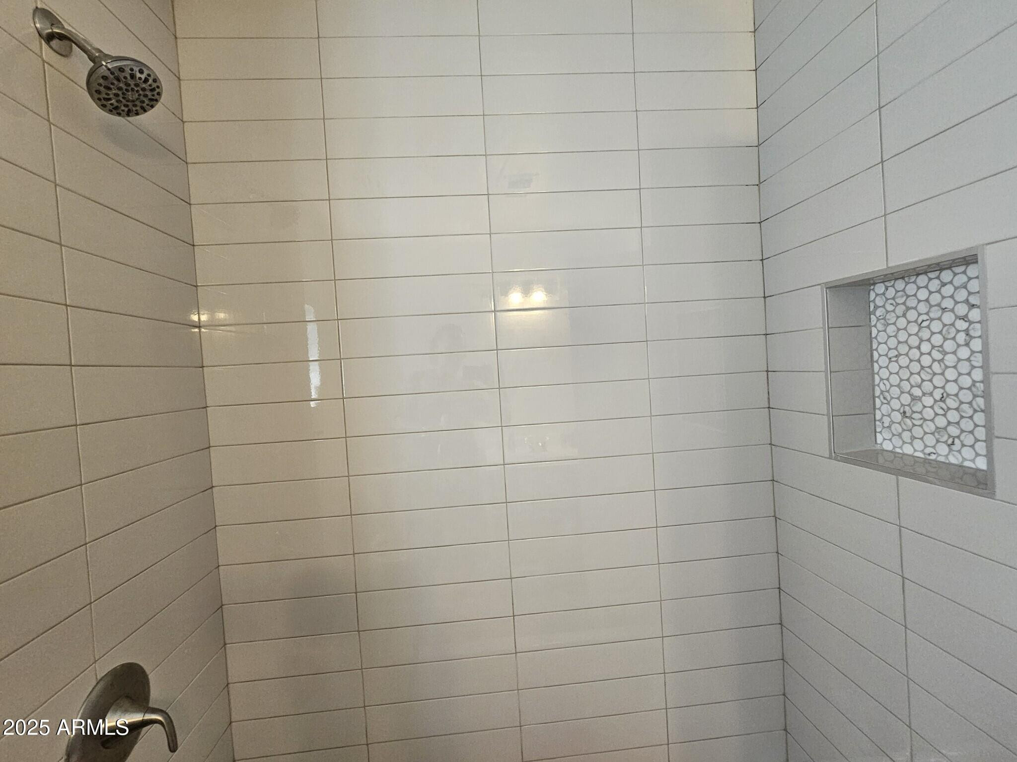 819 East Apollo Road Phoenix, AZ 85042 - Photo 12 of 17 a bathroom with a shower
