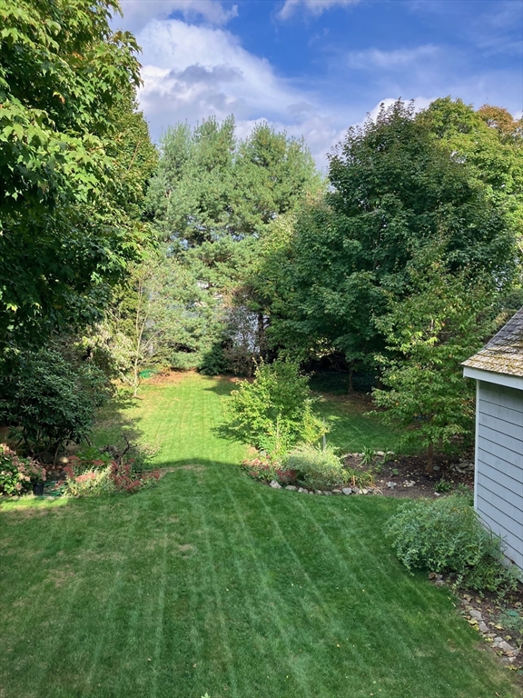 19 Scott Road Belmont, MA 02478 - Photo 38 of 42