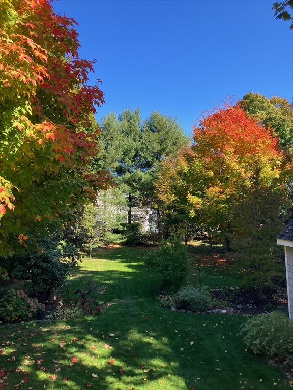 19 Scott Road Belmont, MA 02478 - Photo 39 of 42
