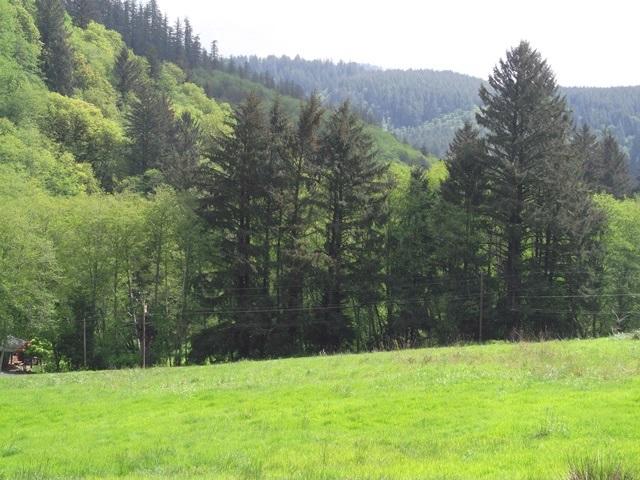 Tl#101 East Beaver Creek Road Beaver, OR 97112 - Photo 8 of 13 Wilks100