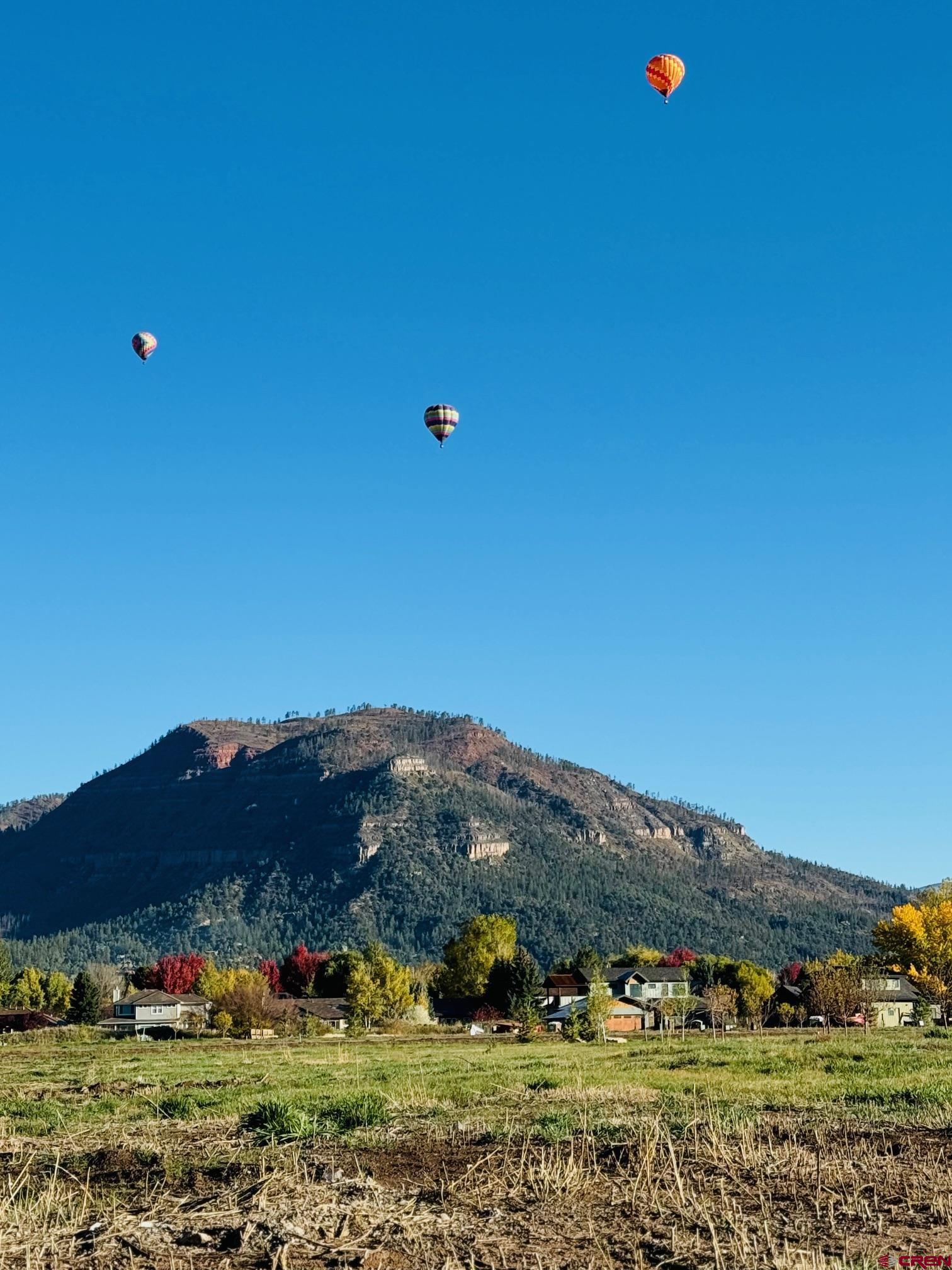 161 West Dalton Road Durango, CO 81301 - Photo 11 of 29 a view of an outdoor space and mountain view