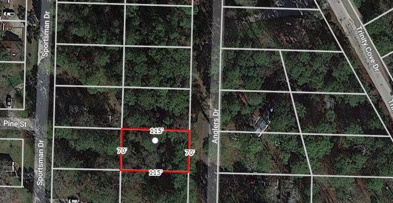 0 Anglers Drive Trinity, TX 75862 - Photo 3 of 6