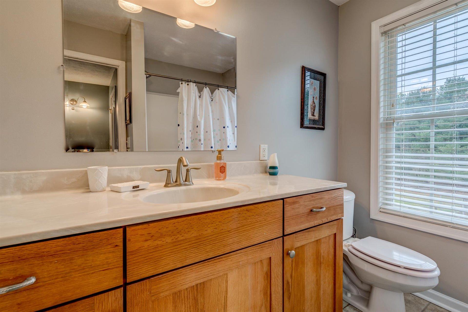 1183 Carroll Road Goodview, VA 24095 - Photo 30 of 61 a bathroom with a granite countertop sink mirror vanity and toilet