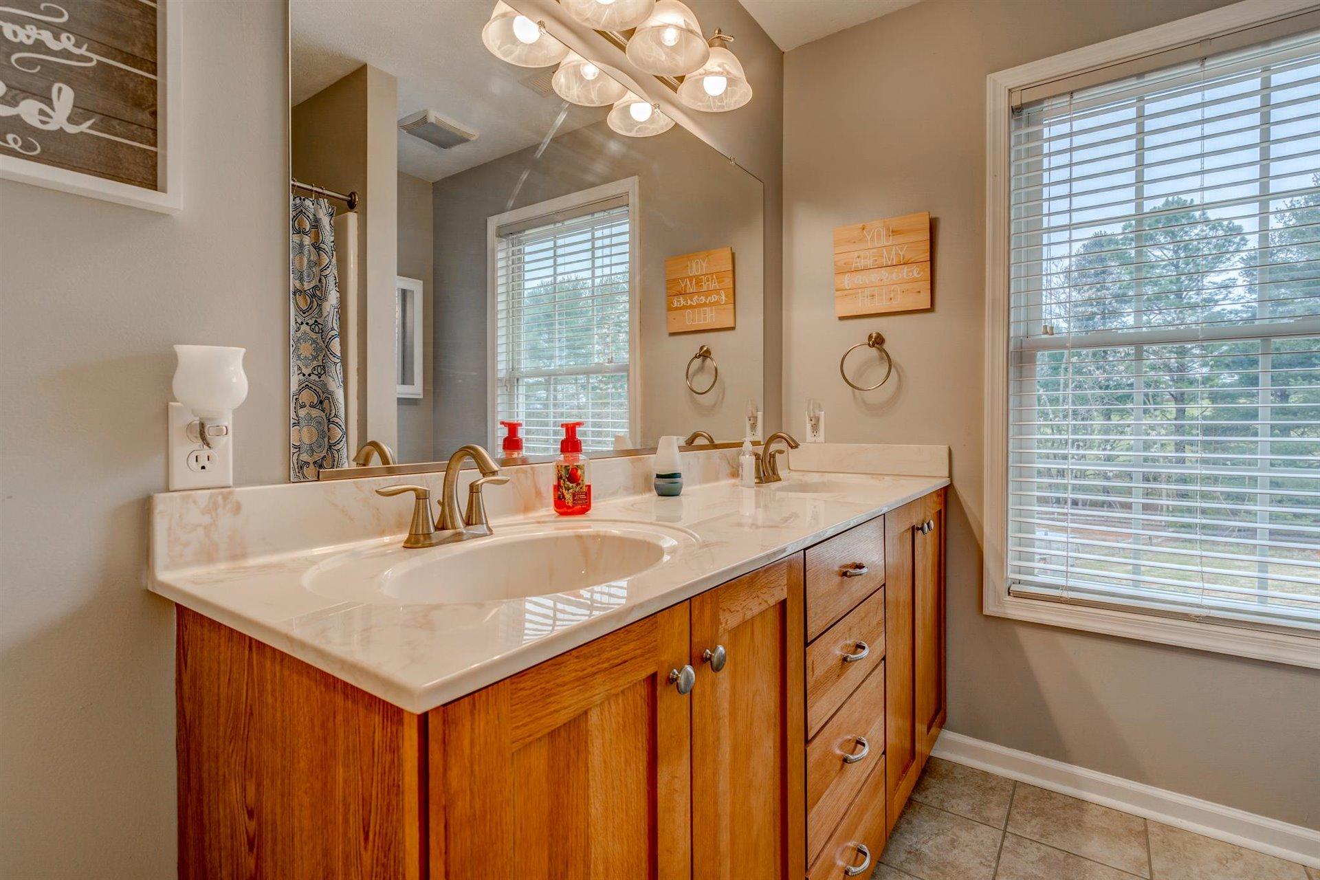 1183 Carroll Road Goodview, VA 24095 - Photo 32 of 61 a bathroom with a sink a vanity and a mirror