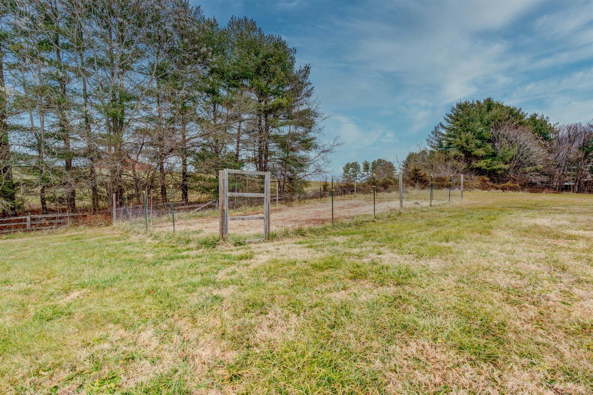 1183 Carroll Road Goodview, VA 24095 - Photo 52 of 61 a view of a yard with a tree