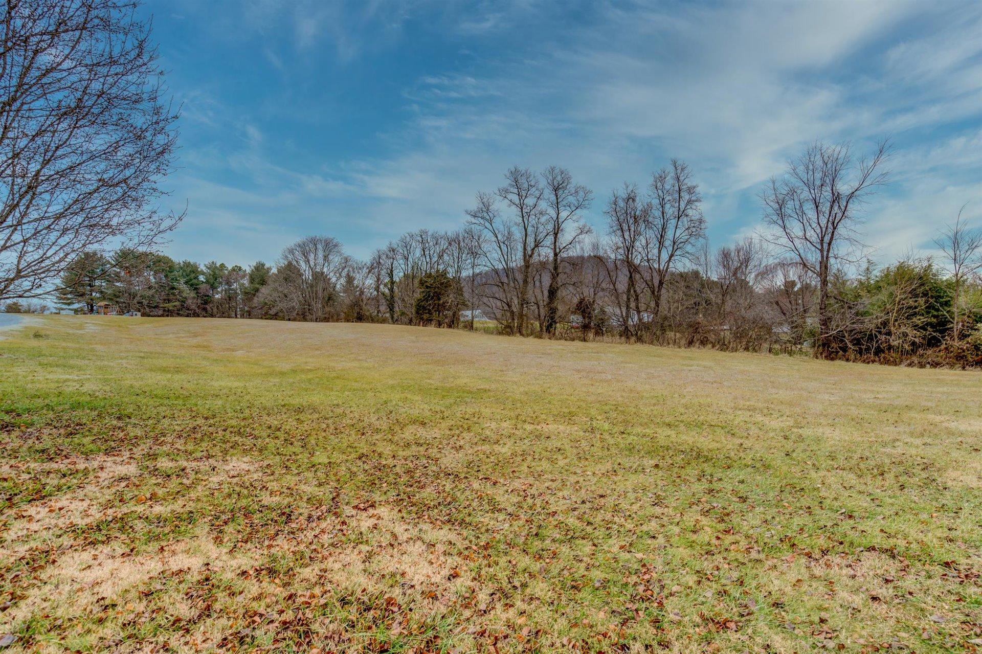 1183 Carroll Road Goodview, VA 24095 - Photo 57 of 61 57-011120210057