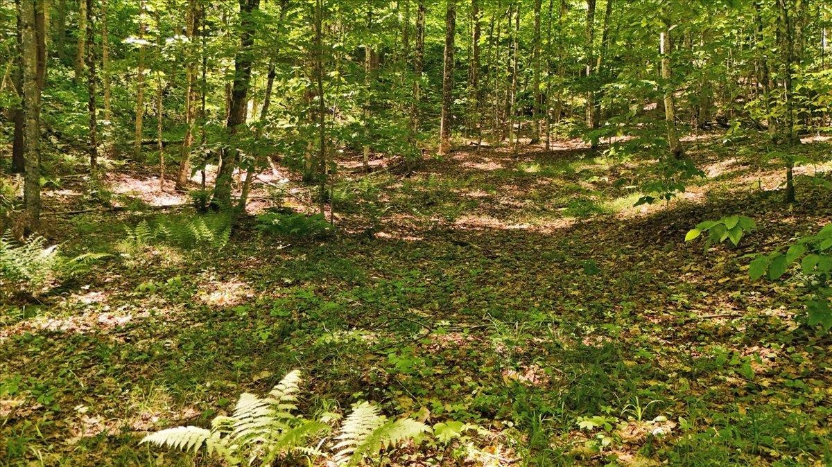 Lot 16 Barnett Road East Calais, VT 05650 - Photo 26 of 26