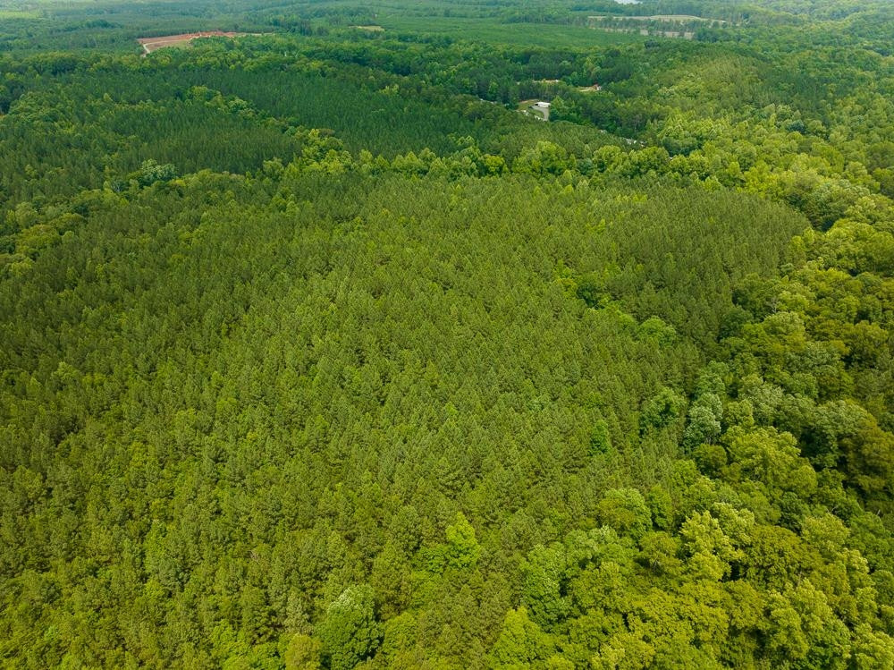 0 Mill Creek Road Roxboro, NC 27574 - Photo 15 of 54 Photo 15