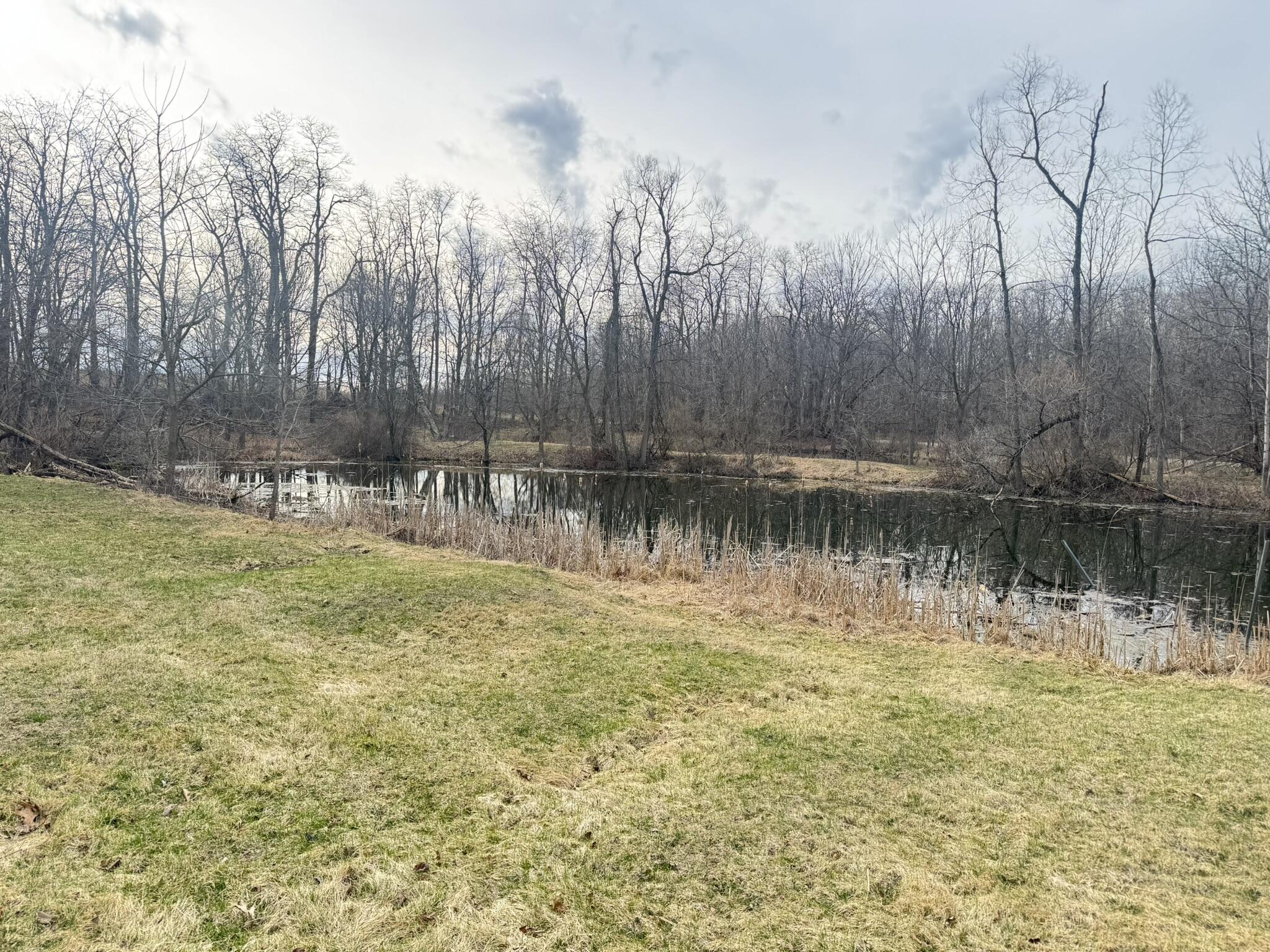 12441 Town Road Parma, MI 49269 - Photo 22 of 26 IMG_8309