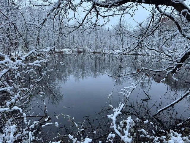 $275,000 | 12441 Town Road, Parma, MI 49269