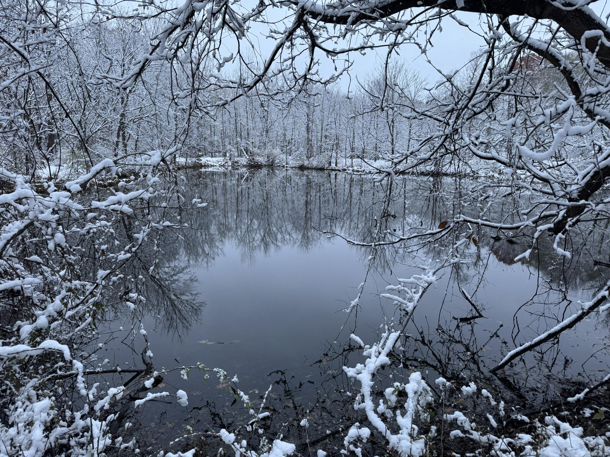 12441 Town Road Parma, MI 49269 - Photo 25 of 31 IMG_7872