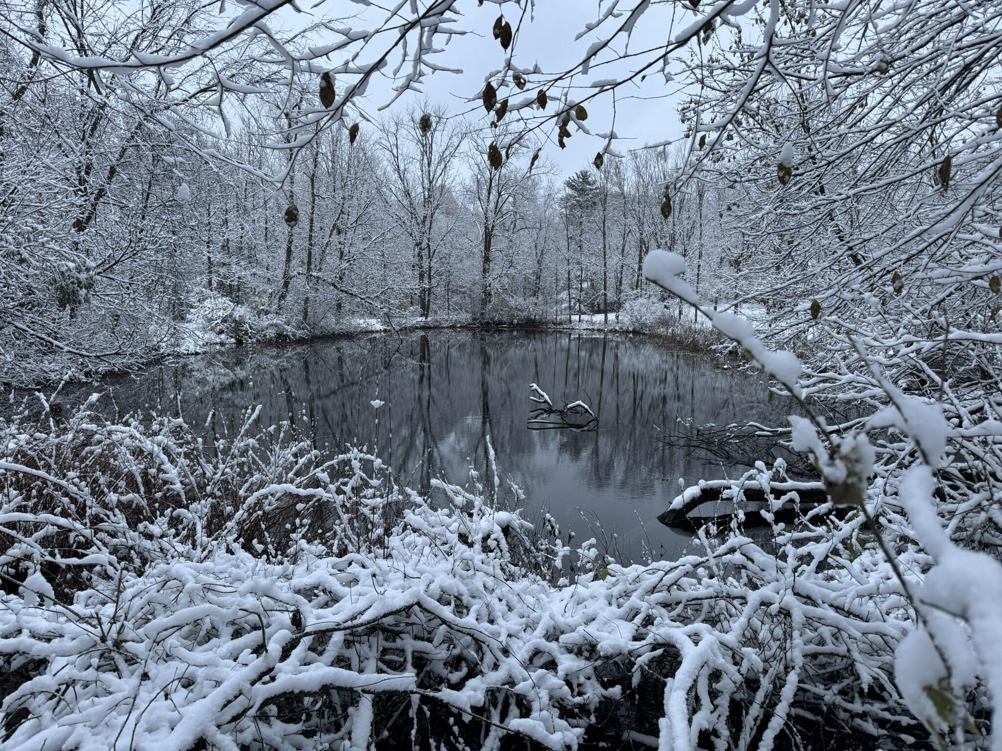 12441 Town Road Parma, MI 49269 - Photo 26 of 31 IMG_7871