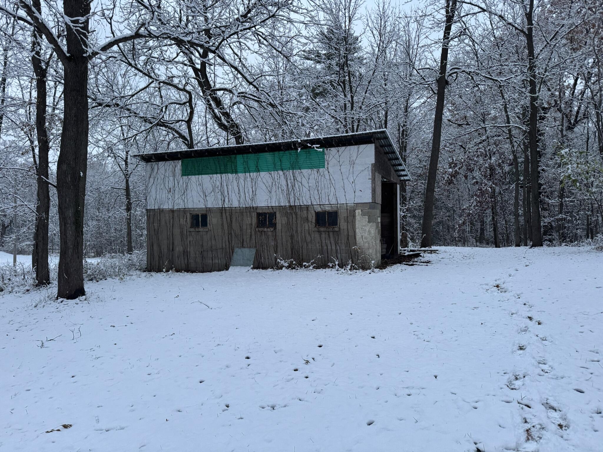 12441 Town Road Parma, MI 49269 - Photo 28 of 31 IMG_7878